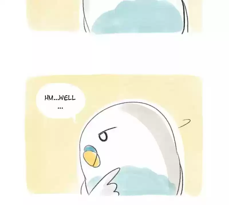 A Budgie's Life Chapter 13: Ep.13: