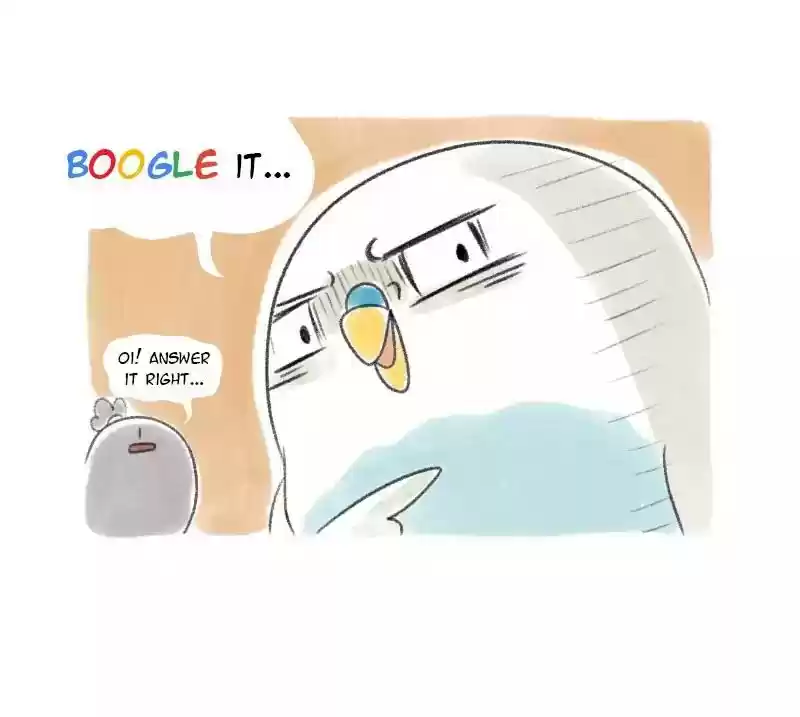 A Budgie's Life Chapter 13: Ep.13: