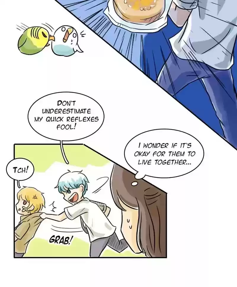 A Budgie's Life Chapter 130: Ep.130: