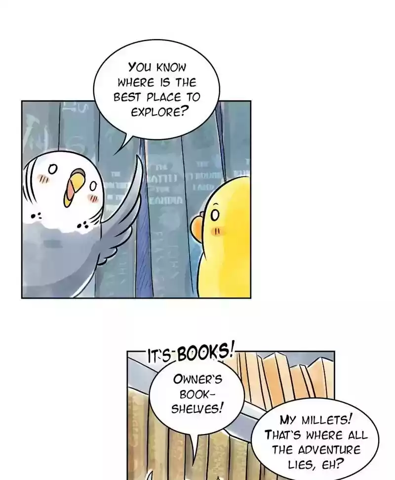A Budgie's Life Chapter 131: Ep.131: