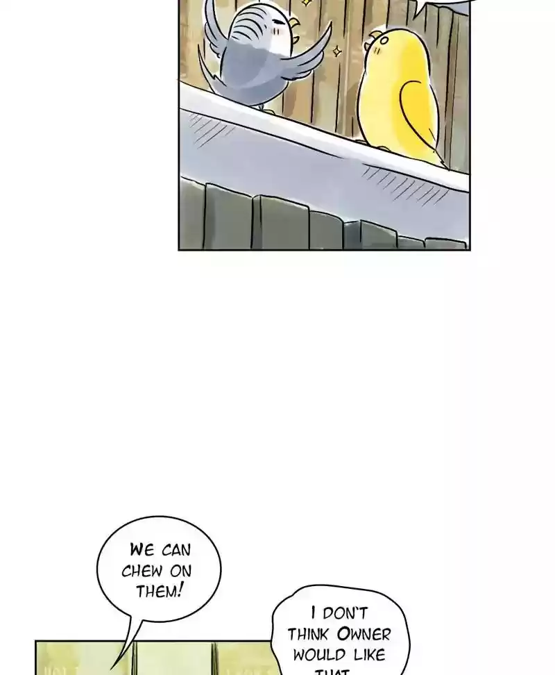 A Budgie's Life Chapter 131: Ep.131: