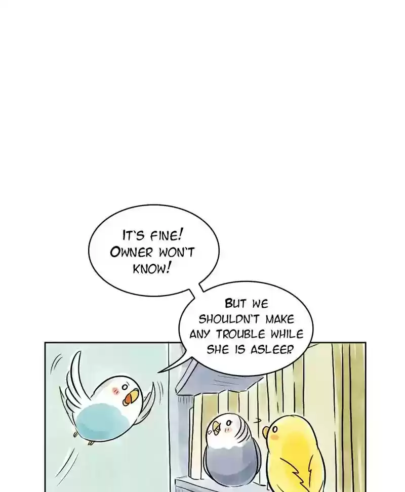 A Budgie's Life Chapter 131: Ep.131: