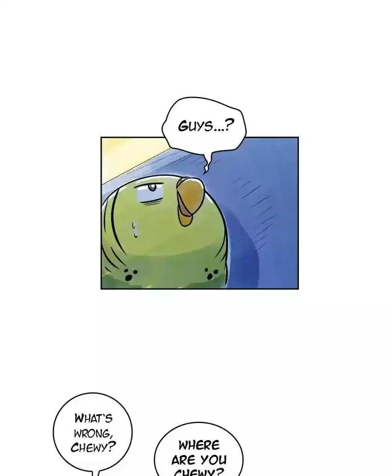 A Budgie's Life Chapter 131: Ep.131: