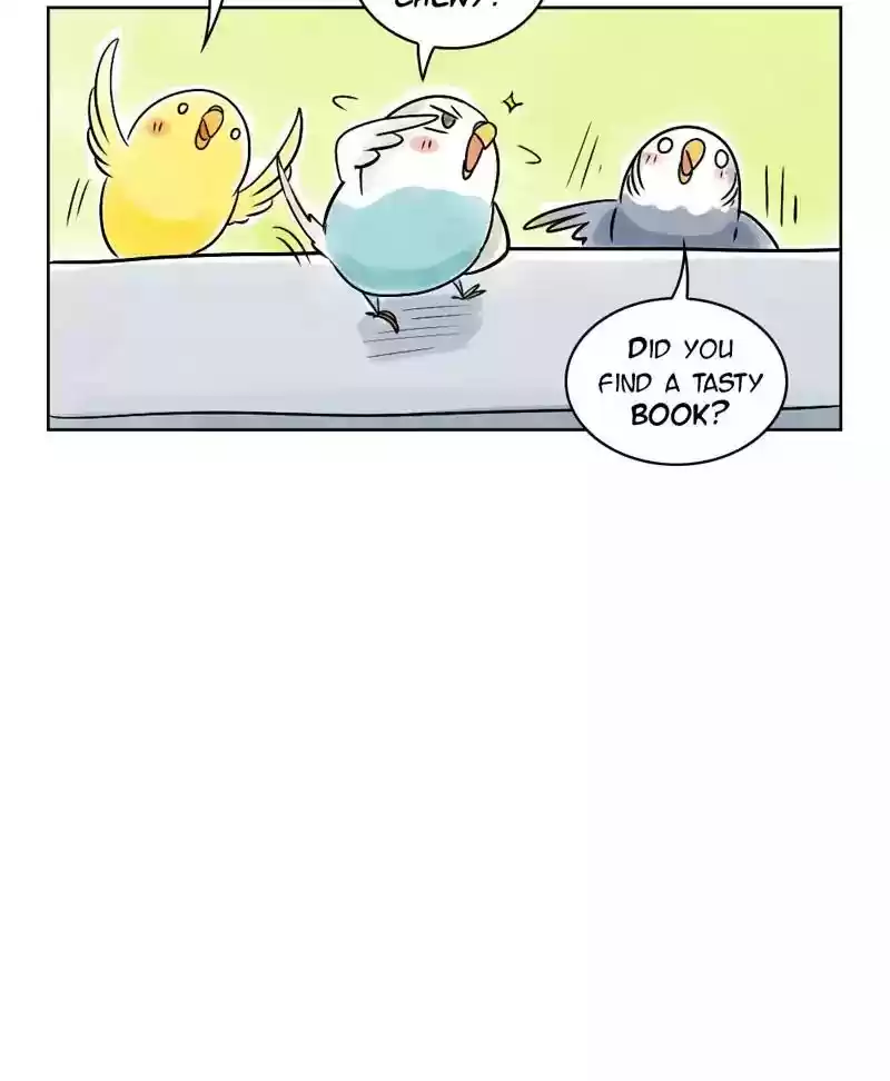A Budgie's Life Chapter 131: Ep.131:
