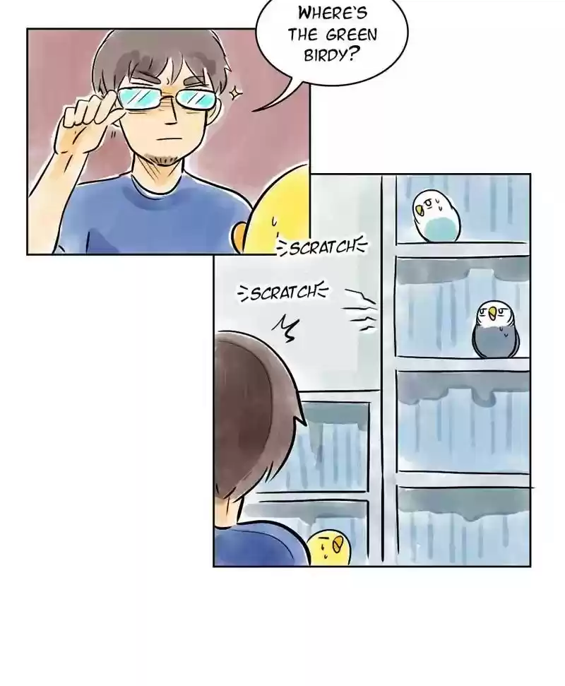 A Budgie's Life Chapter 131: Ep.131: