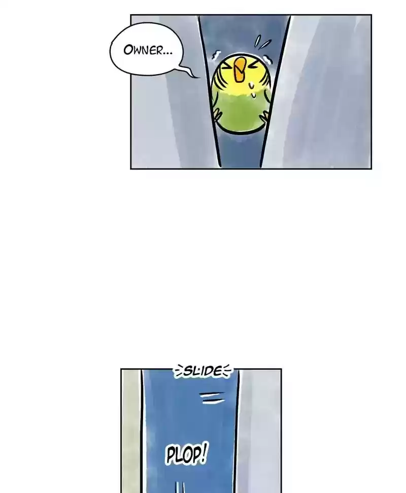 A Budgie's Life Chapter 131: Ep.131: