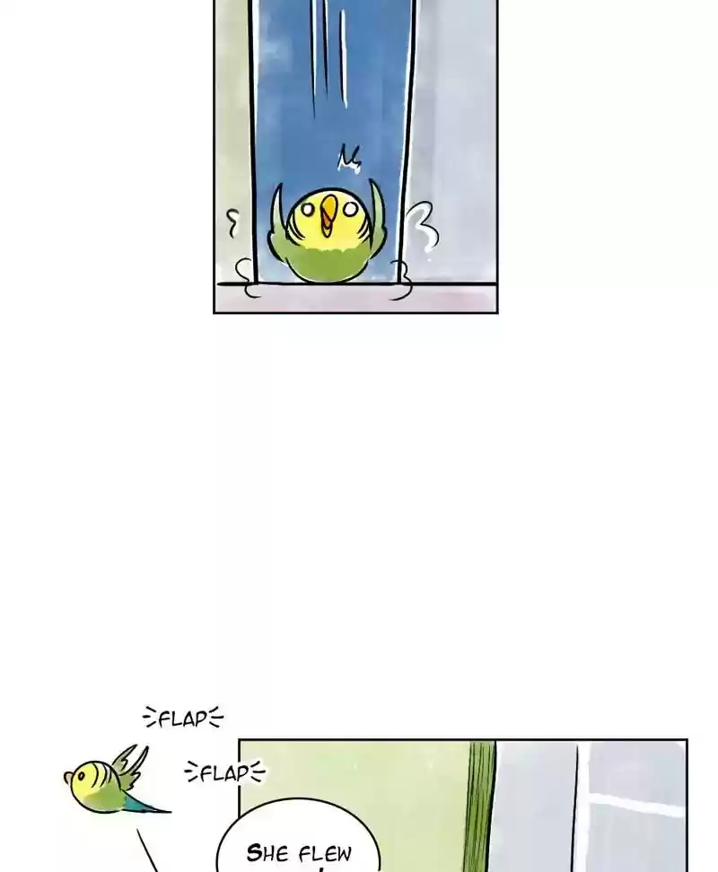 A Budgie's Life Chapter 131: Ep.131: