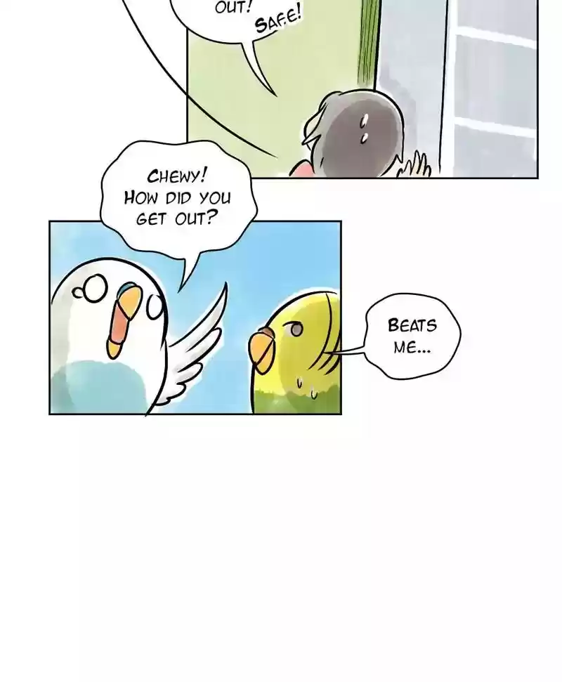 A Budgie's Life Chapter 131: Ep.131: