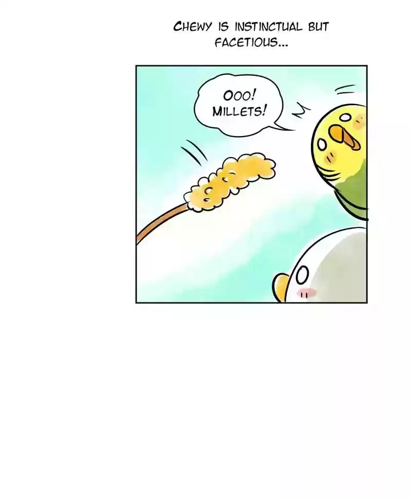 A Budgie's Life Chapter 131: Ep.131: