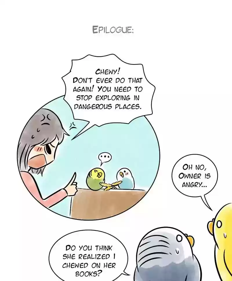 A Budgie's Life Chapter 131: Ep.131: