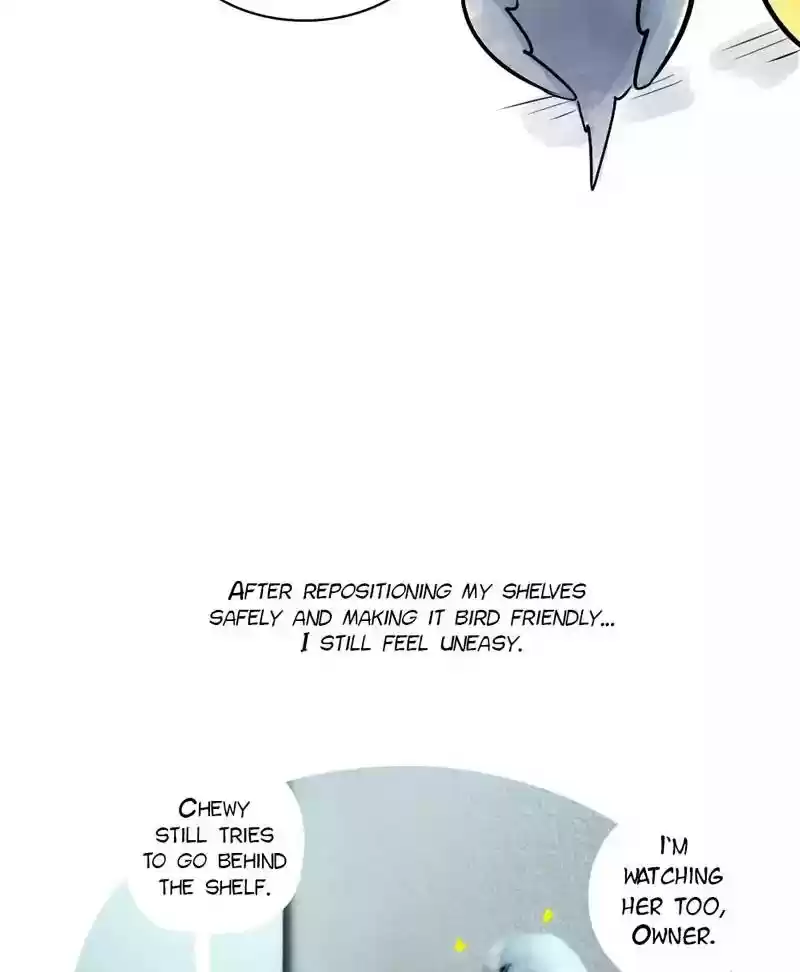 A Budgie's Life Chapter 131: Ep.131: