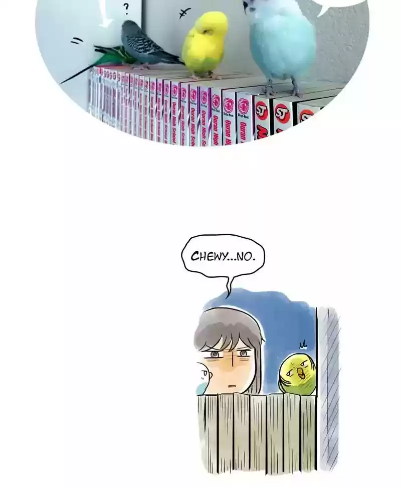 A Budgie's Life Chapter 131: Ep.131:
