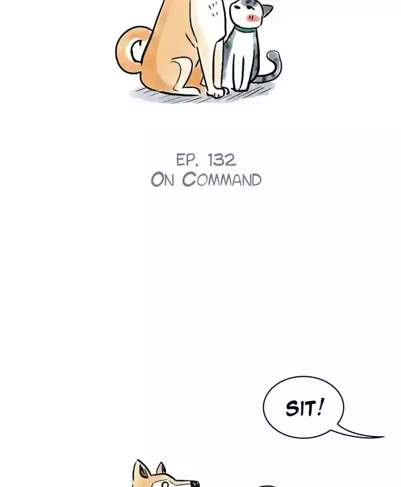 A Budgie's Life Chapter 132: Ep.132: