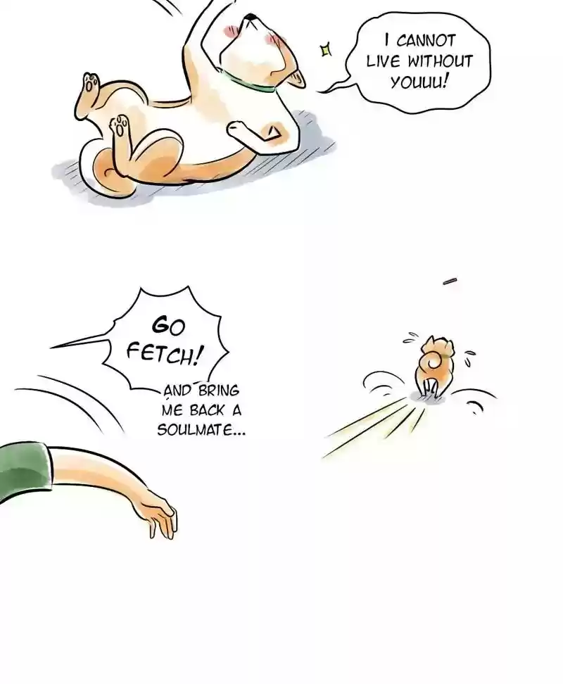 A Budgie's Life Chapter 132: Ep.132: