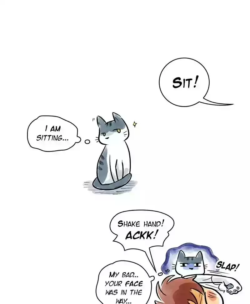 A Budgie's Life Chapter 132: Ep.132: