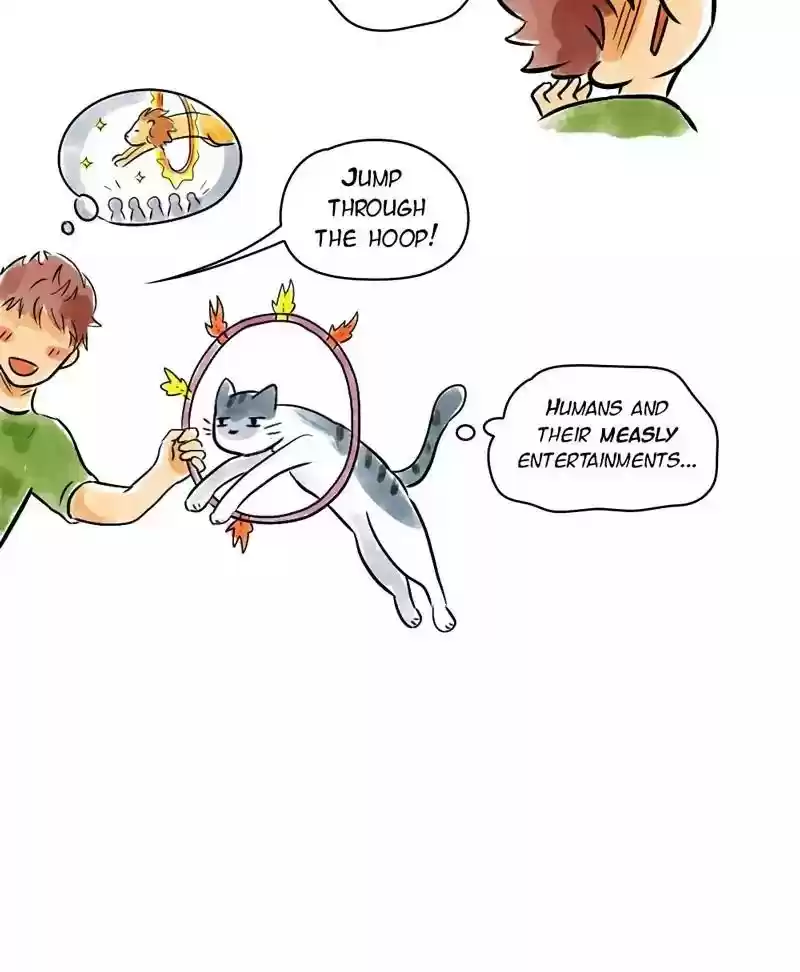 A Budgie's Life Chapter 132: Ep.132: