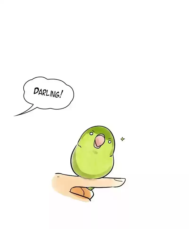 A Budgie's Life Chapter 132: Ep.132: