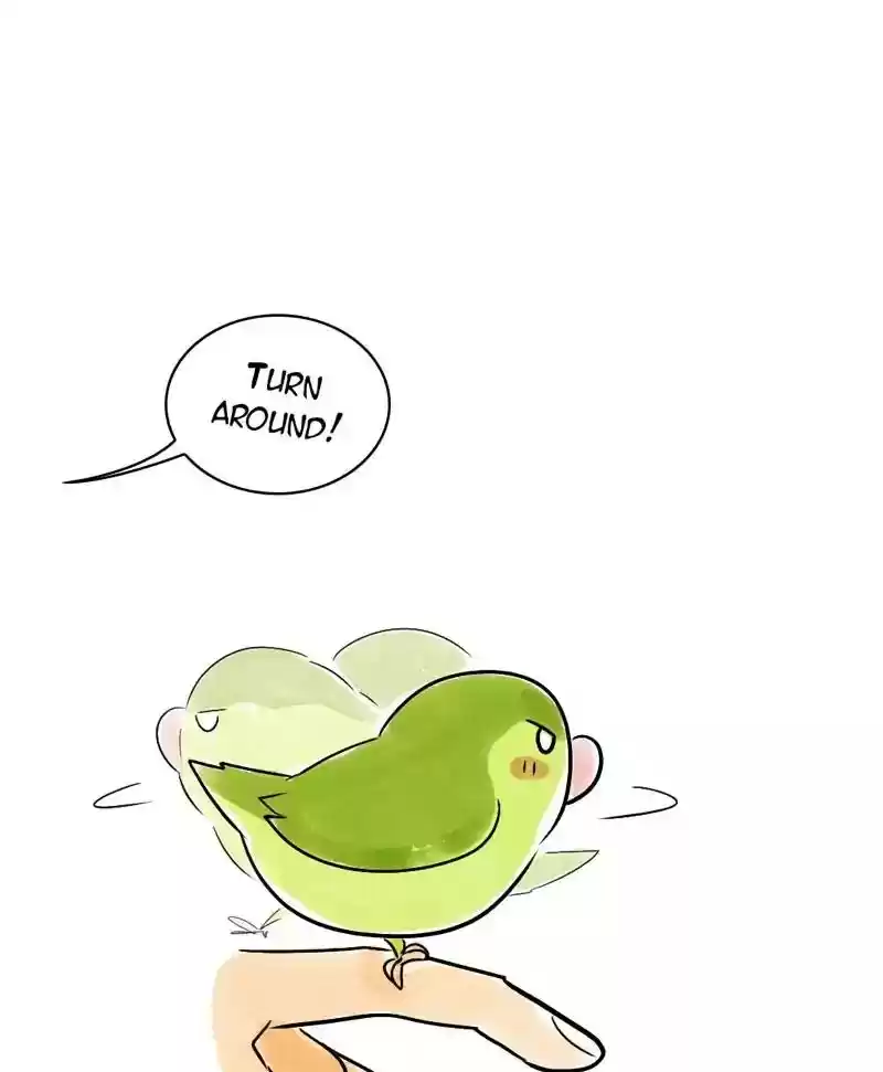 A Budgie's Life Chapter 132: Ep.132: