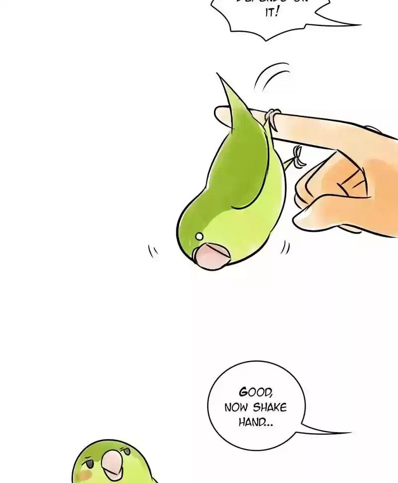 A Budgie's Life Chapter 132: Ep.132: