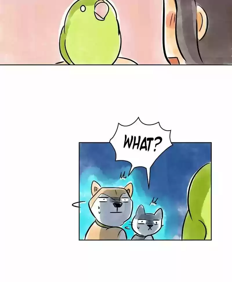 A Budgie's Life Chapter 132: Ep.132: