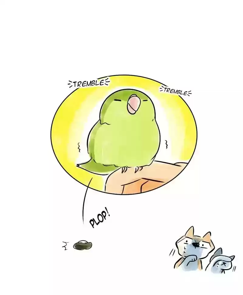 A Budgie's Life Chapter 132: Ep.132: