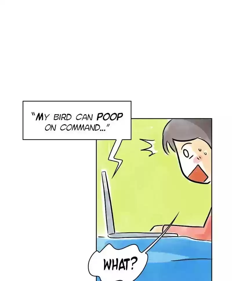 A Budgie's Life Chapter 132: Ep.132: