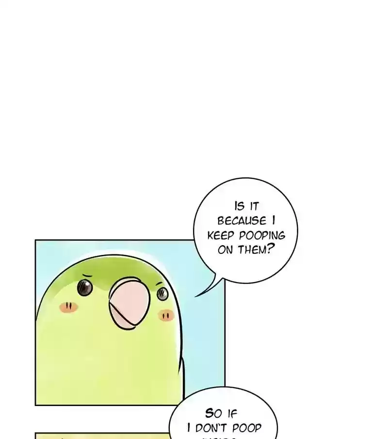 A Budgie's Life Chapter 132: Ep.132: