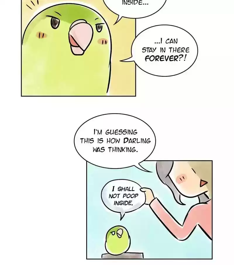 A Budgie's Life Chapter 132: Ep.132: