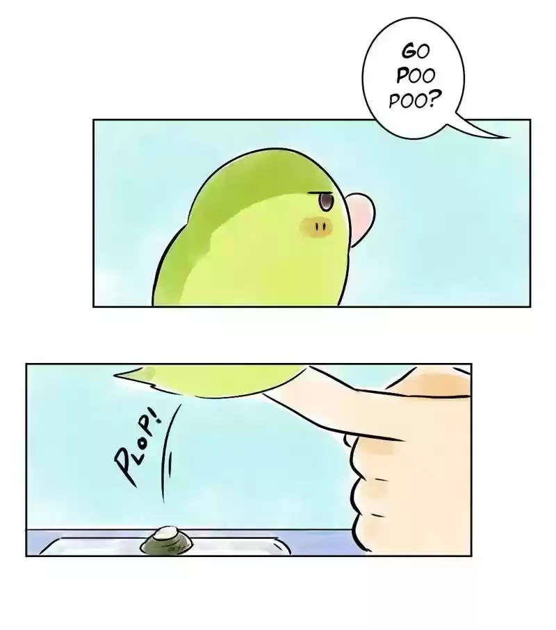A Budgie's Life Chapter 132: Ep.132: