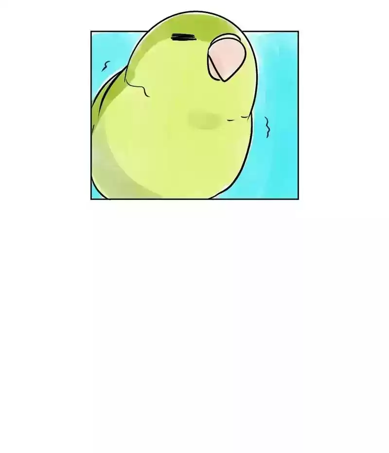 A Budgie's Life Chapter 132: Ep.132: