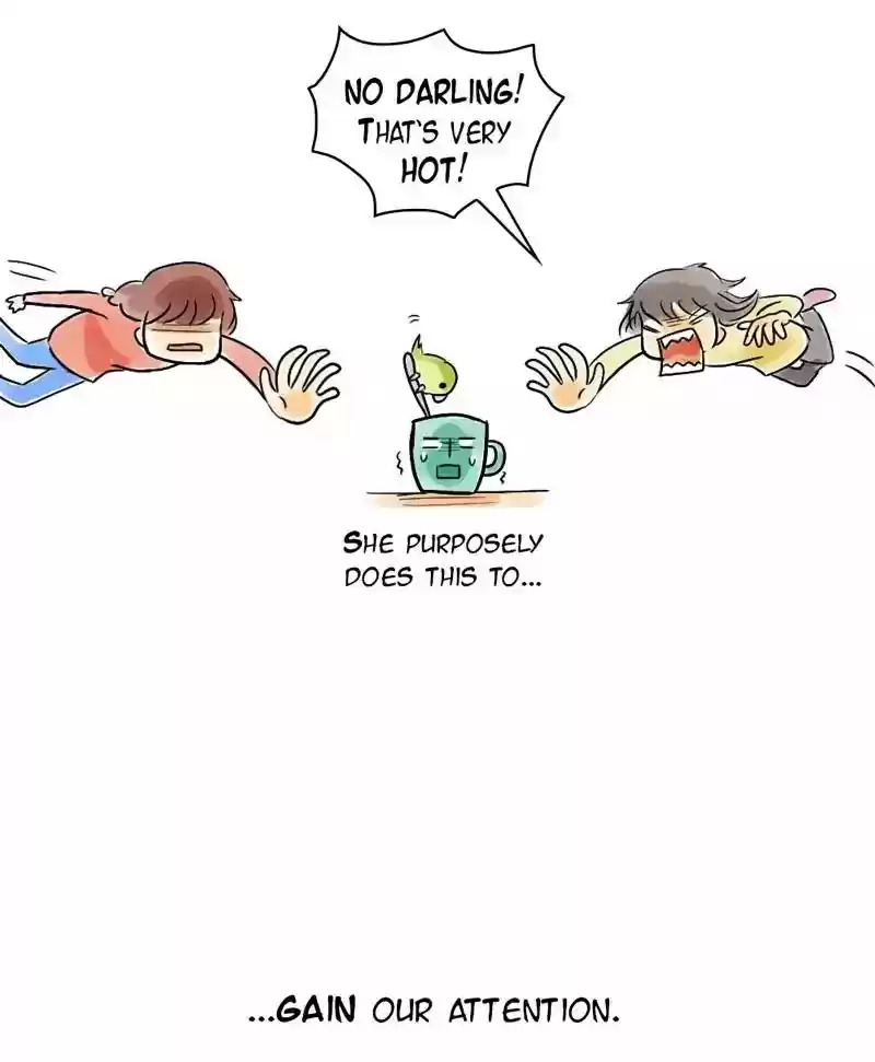 A Budgie's Life Chapter 133: Ep.133: