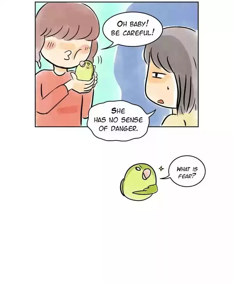 A Budgie's Life Chapter 133: Ep.133: