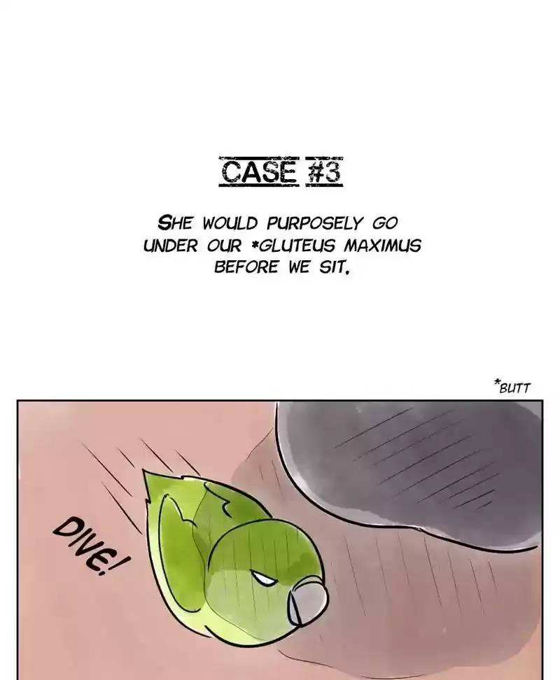 A Budgie's Life Chapter 133: Ep.133: