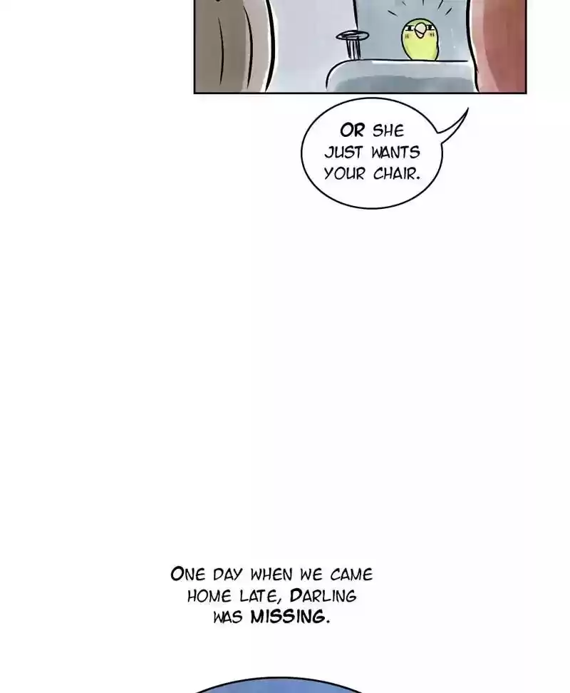 A Budgie's Life Chapter 133: Ep.133: