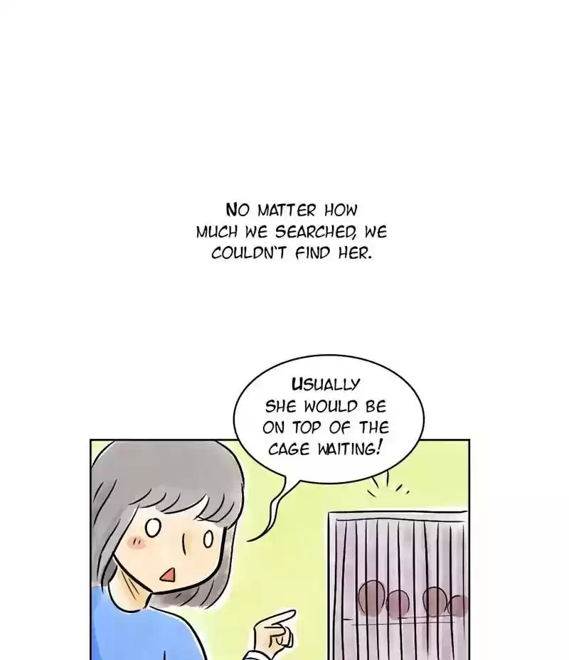 A Budgie's Life Chapter 133: Ep.133: