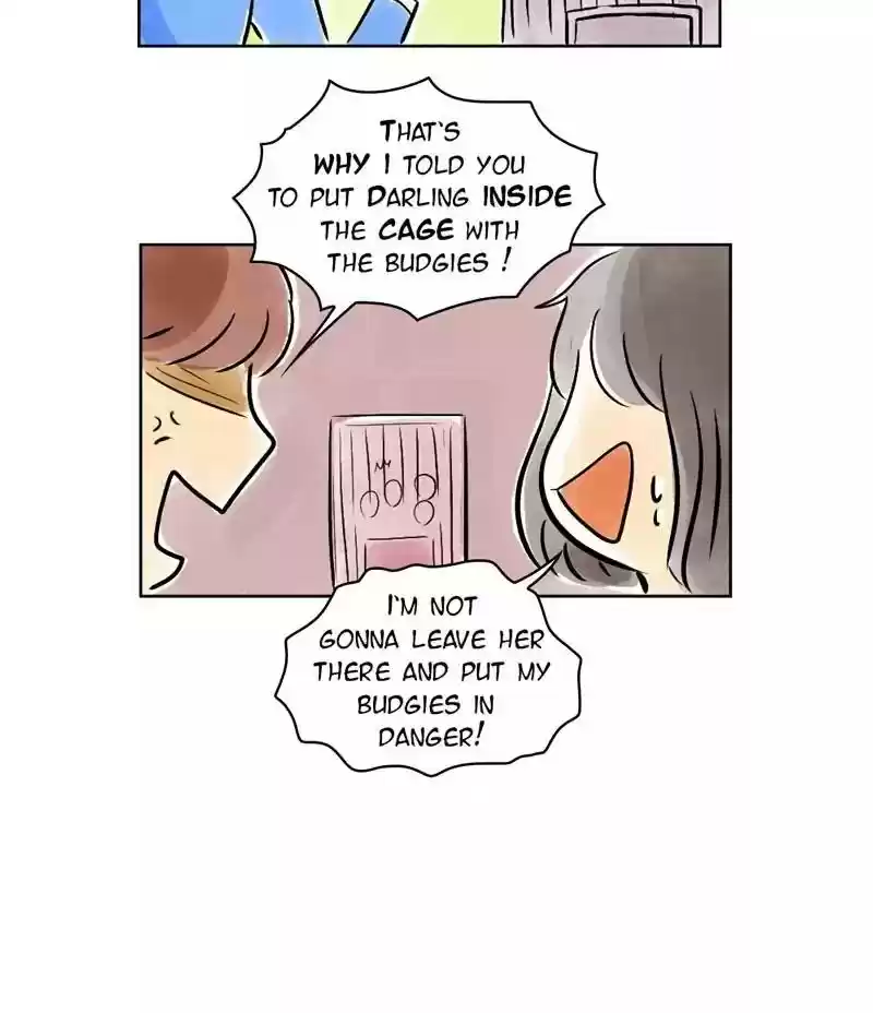 A Budgie's Life Chapter 133: Ep.133: