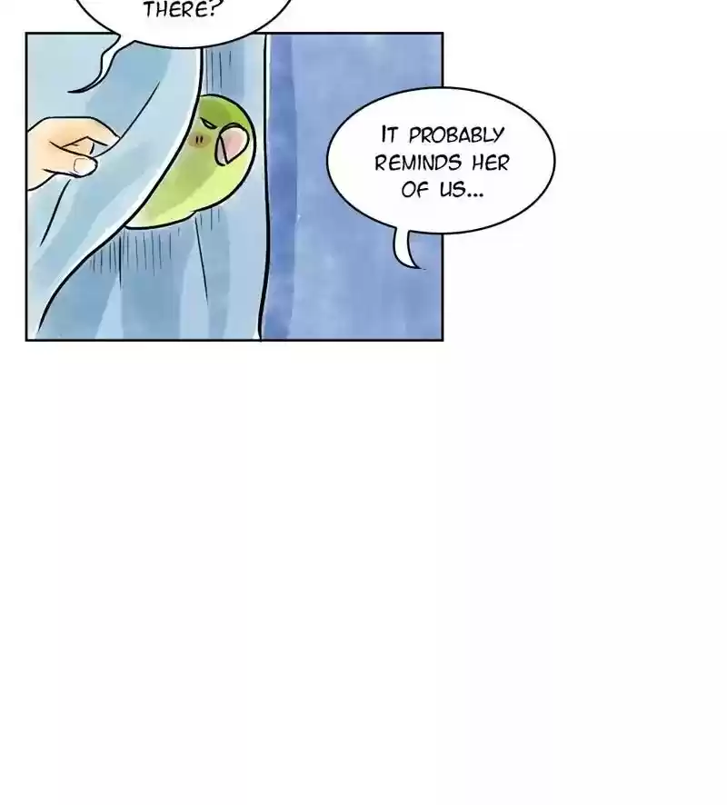 A Budgie's Life Chapter 133: Ep.133: