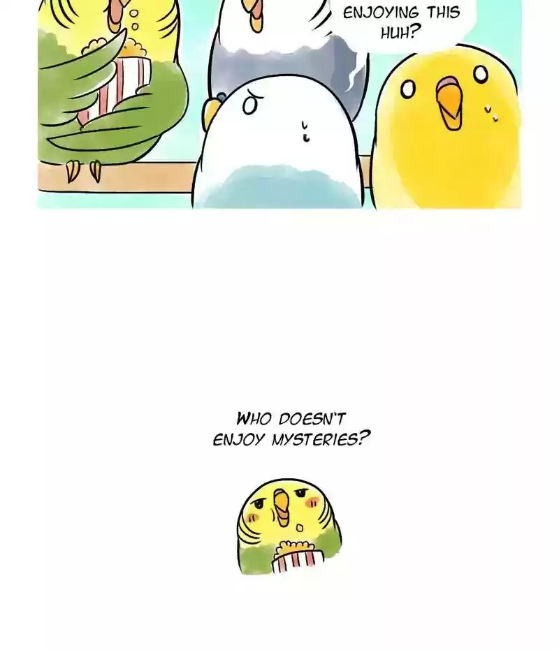 A Budgie's Life Chapter 133: Ep.133: