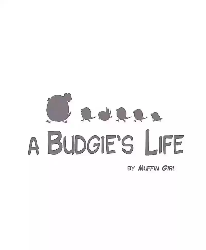 A Budgie's Life Chapter 135: Ep.135: