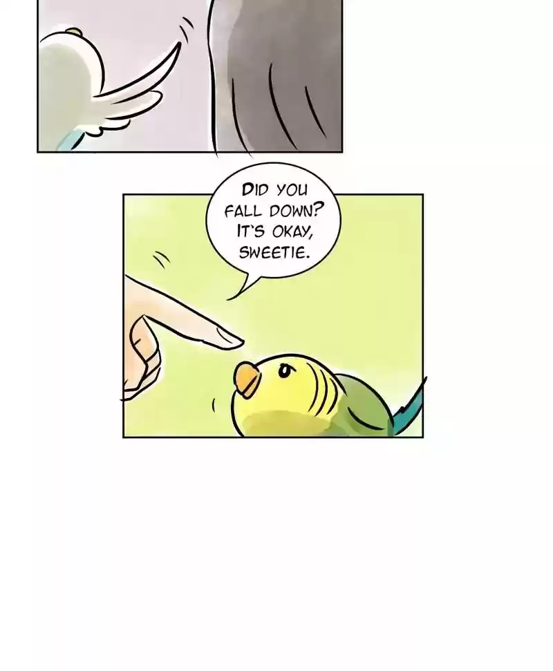 A Budgie's Life Chapter 135: Ep.135: