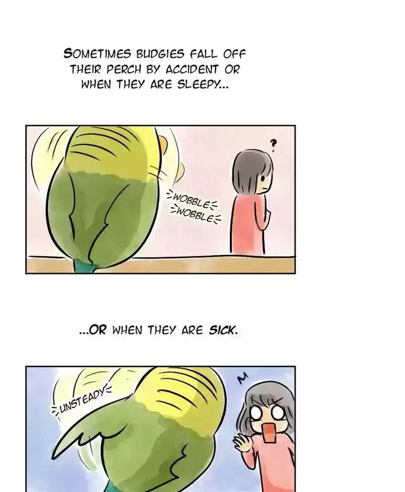 A Budgie's Life Chapter 135: Ep.135: