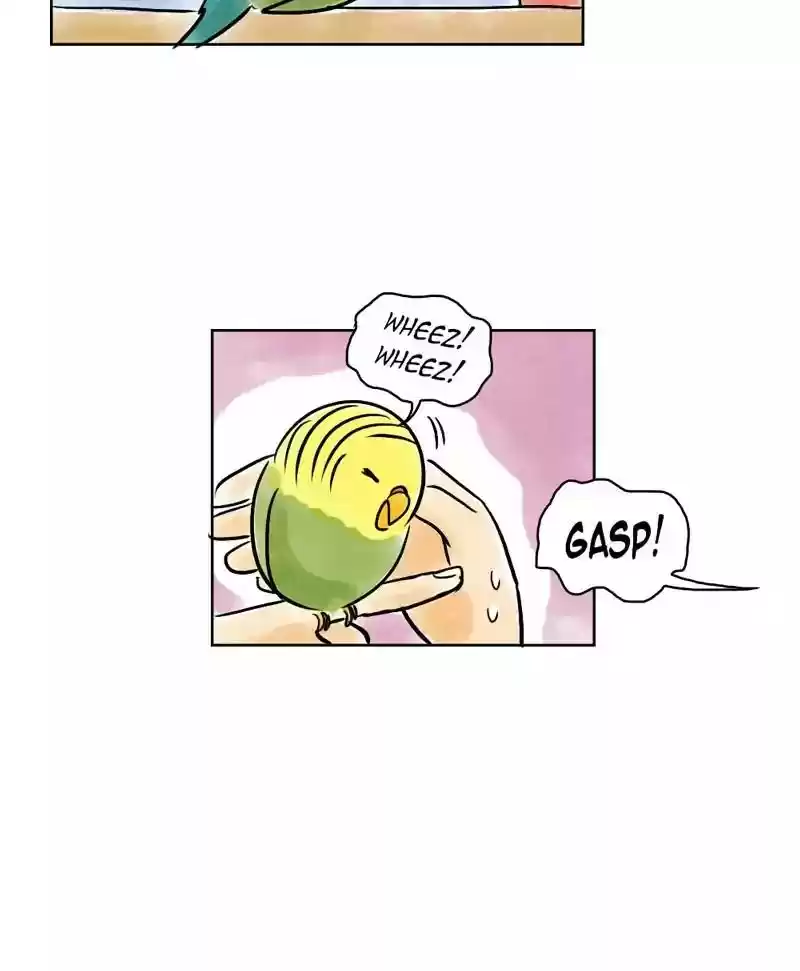 A Budgie's Life Chapter 135: Ep.135: