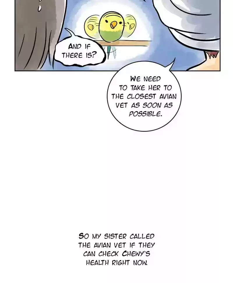 A Budgie's Life Chapter 135: Ep.135: