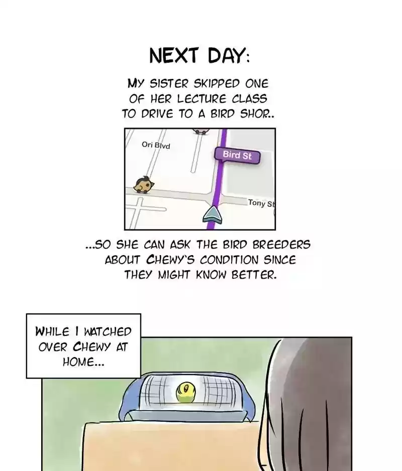 A Budgie's Life Chapter 135: Ep.135: