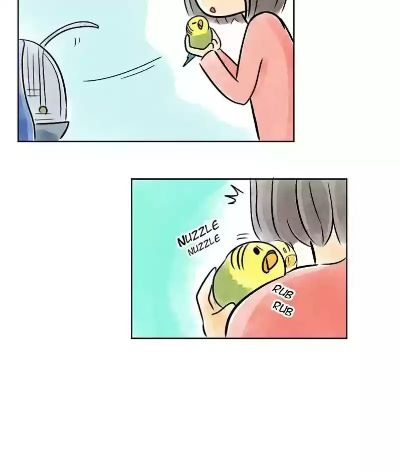 A Budgie's Life Chapter 135: Ep.135: