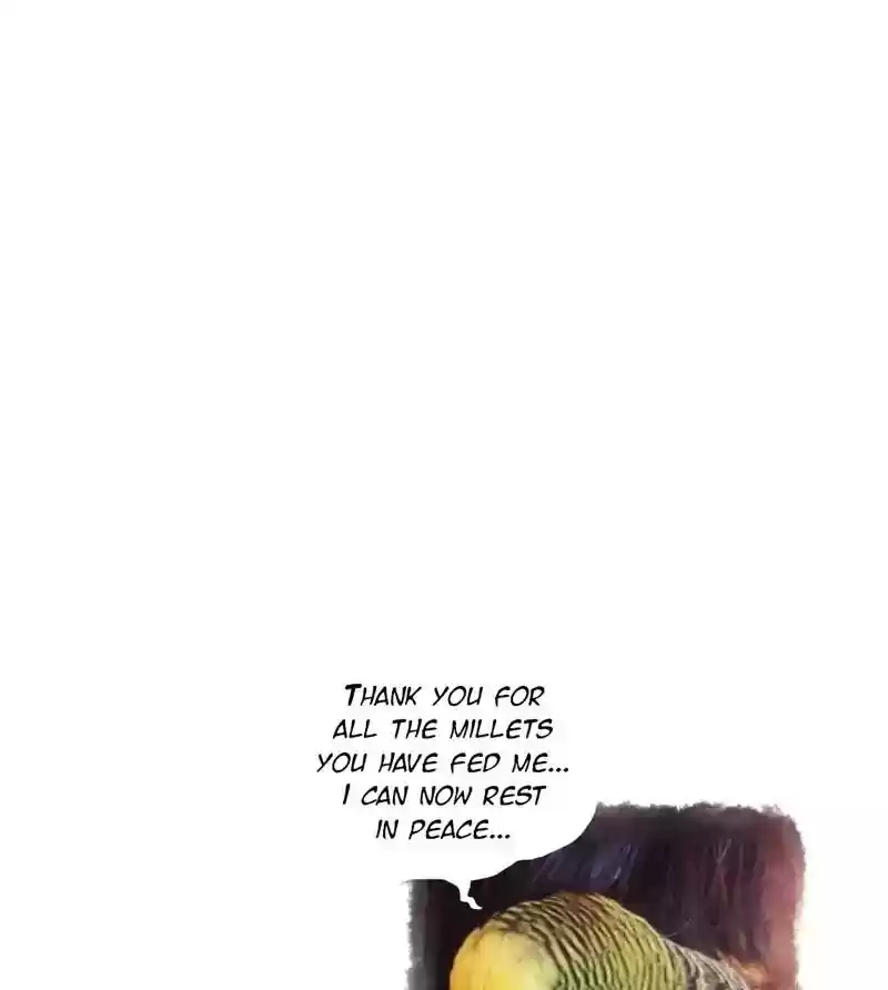 A Budgie's Life Chapter 135: Ep.135: