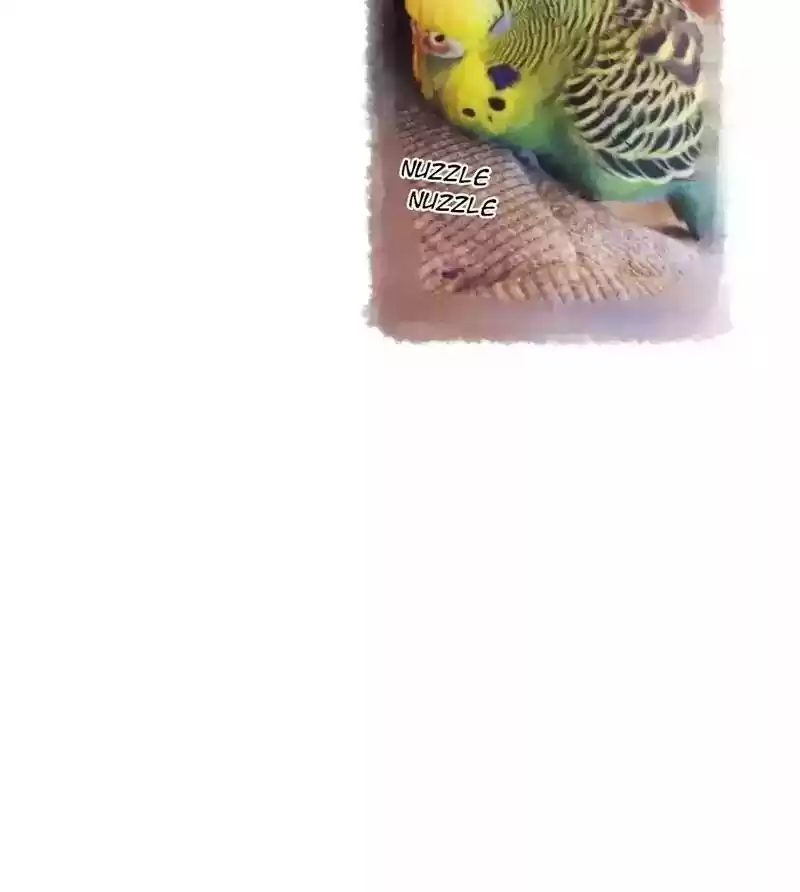 A Budgie's Life Chapter 135: Ep.135: