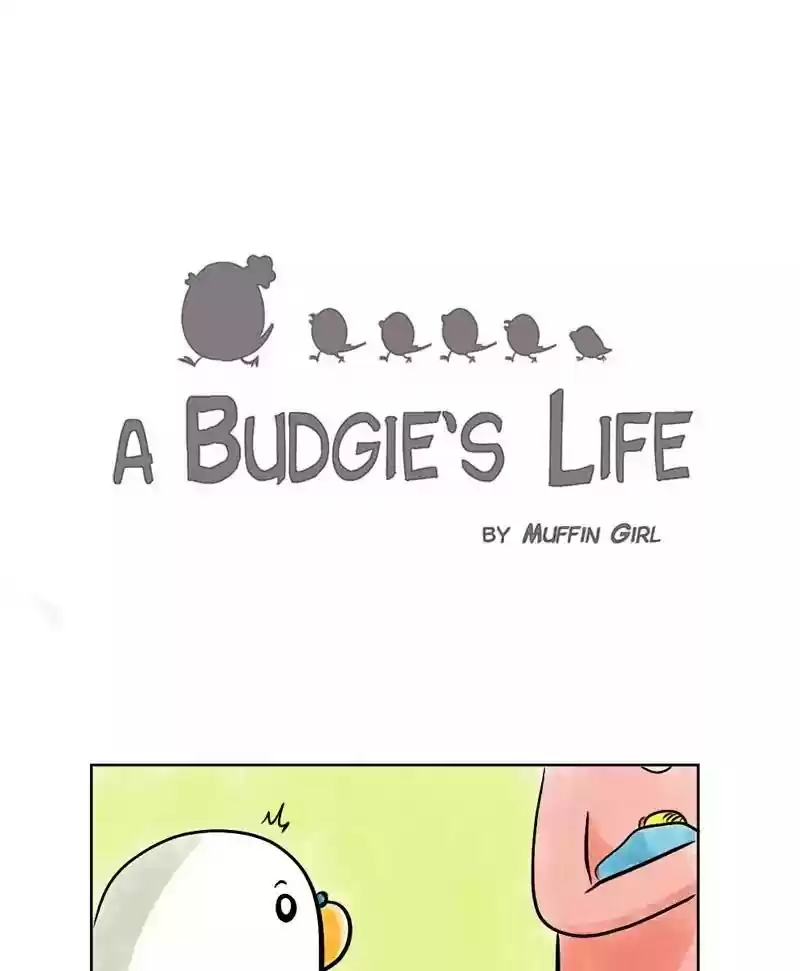 A Budgie's Life Chapter 136: Ep.136: