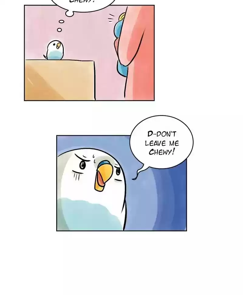 A Budgie's Life Chapter 136: Ep.136: