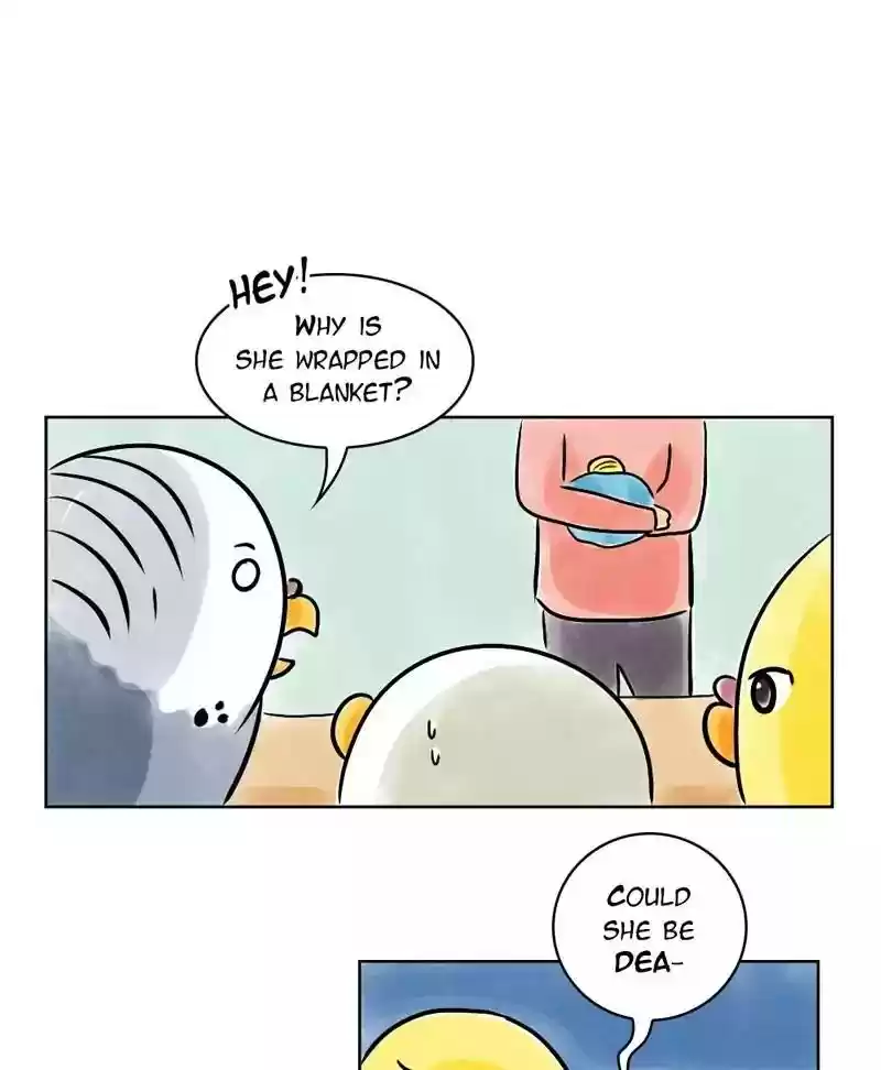 A Budgie's Life Chapter 136: Ep.136: